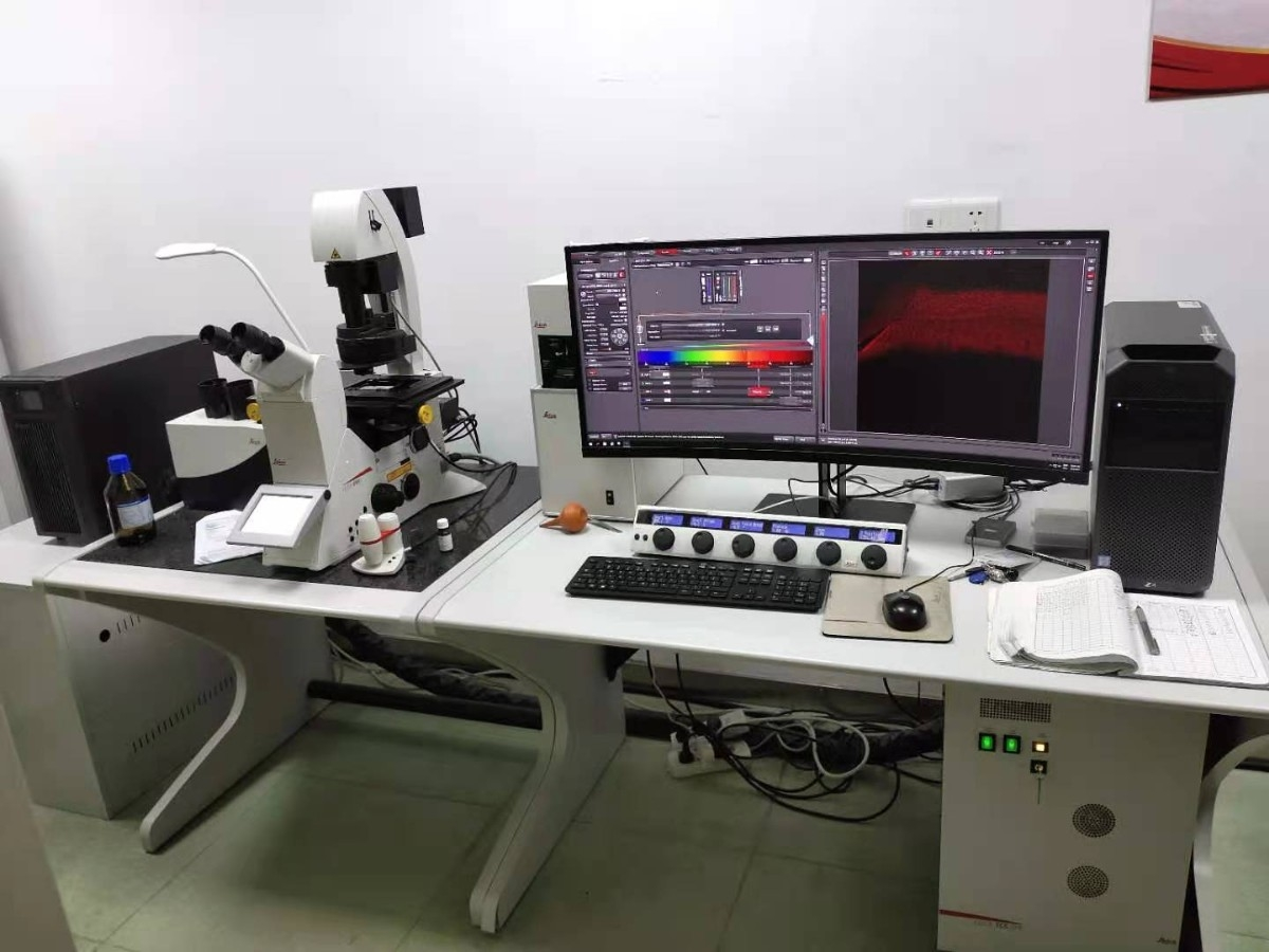 激光扫描共聚焦荧光显微镜