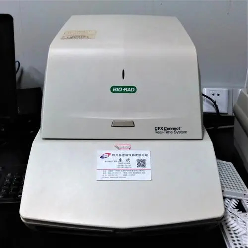 荧光定量PCR