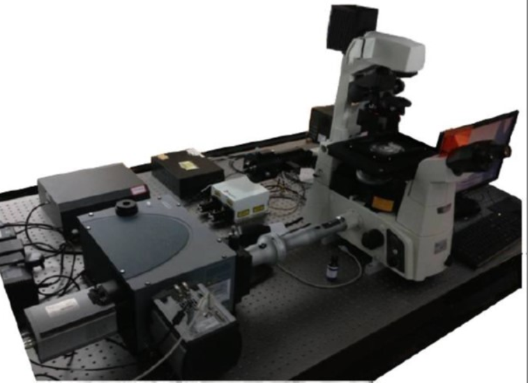 高端倒置荧光显微镜