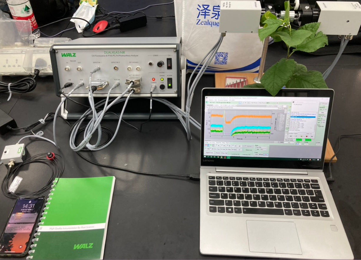 四通道动态LED阵列近红外光谱仪